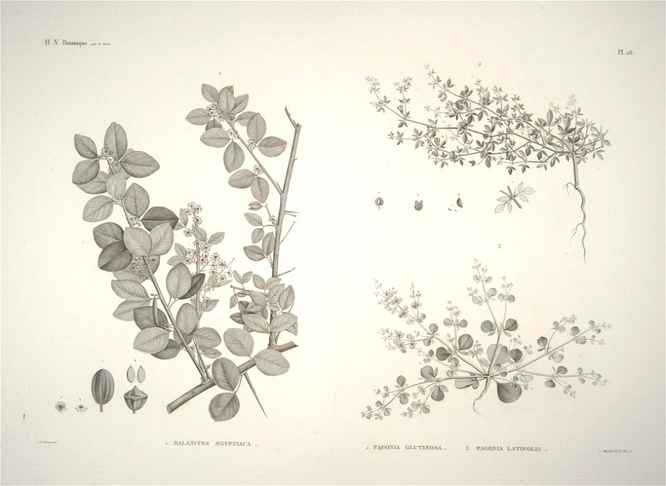 n27_w1150
