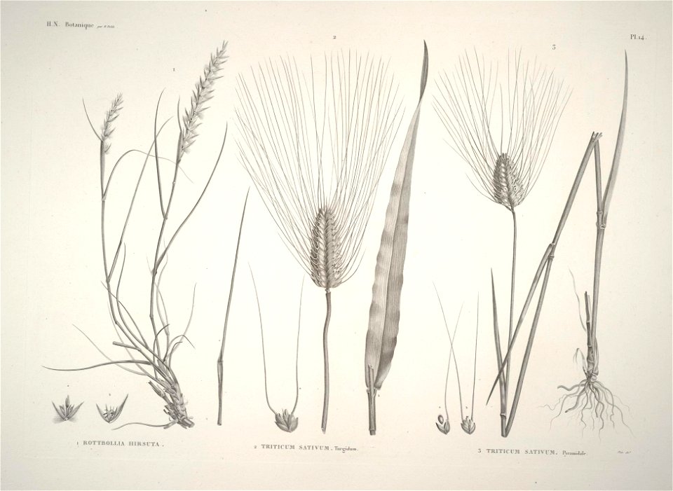 n12_w1150