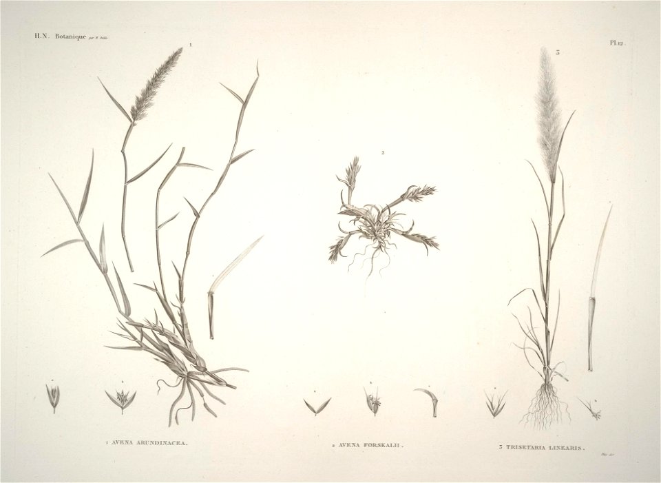 n11_w1150