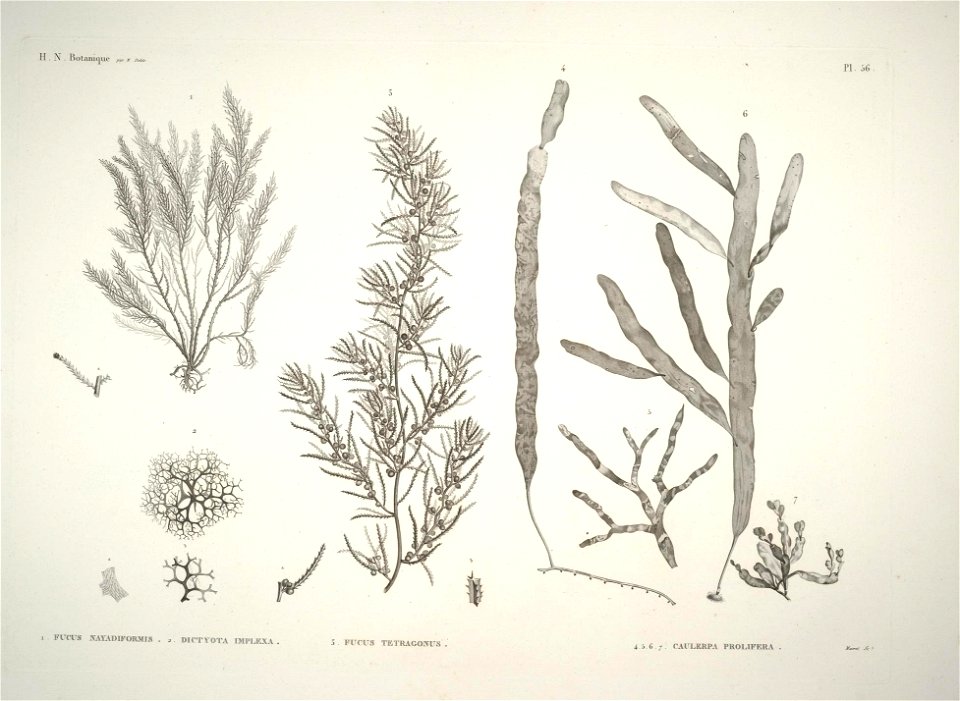 n55_w1150