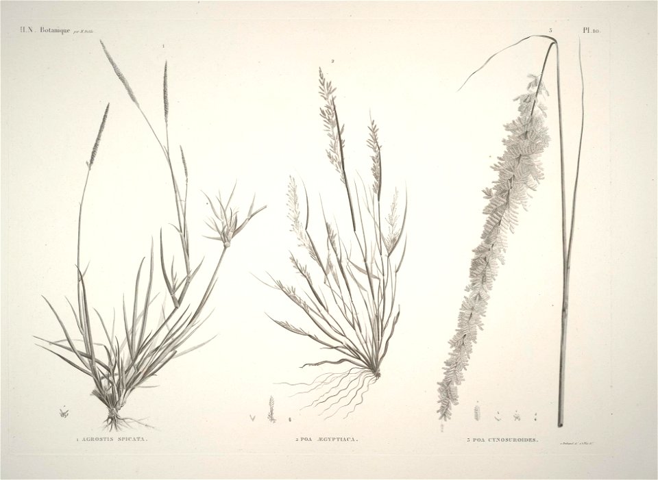 n10_w1150