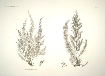 n54_w1150