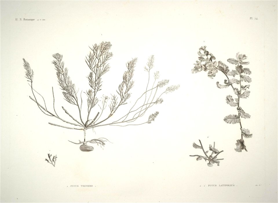 n53_w1150