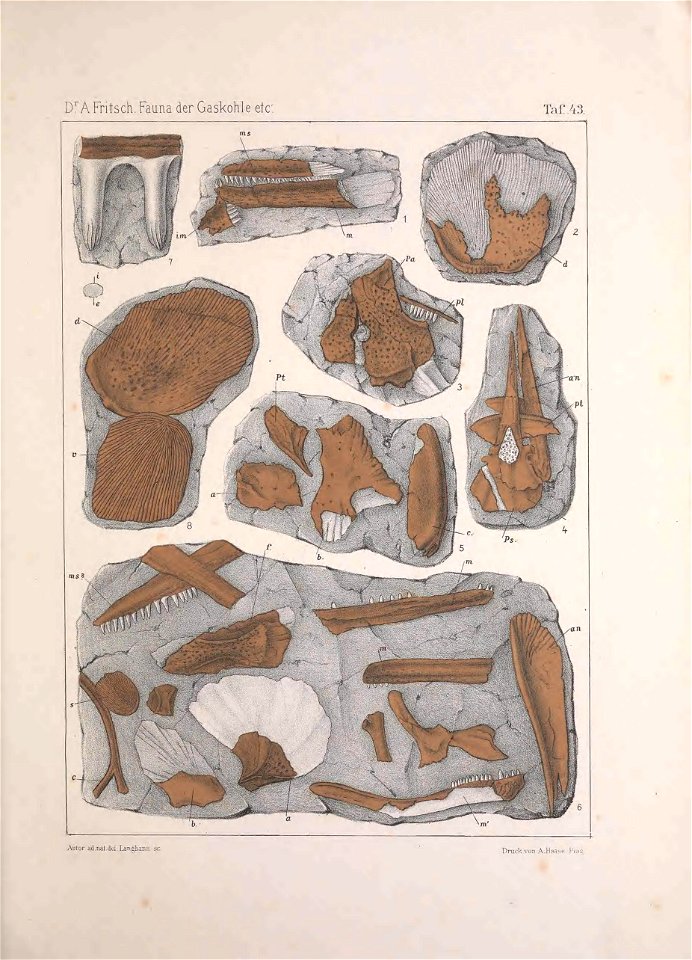 n58_w1150