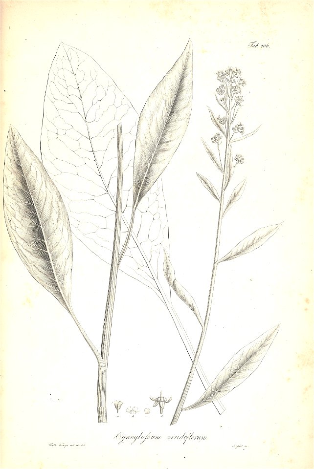 n173_w1150