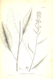 n173_w1150