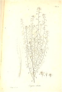 n137_w1150