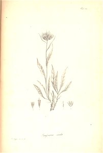 n98_w1150
