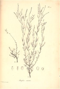 n83_w1150