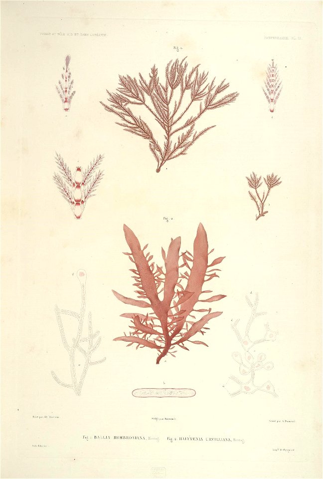 n16_w1150