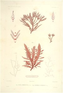 n16_w1150