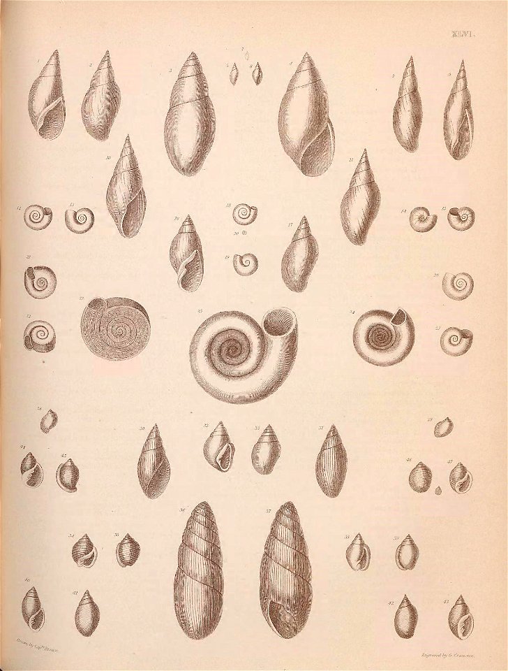 n214_w1150