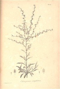 n65_w1150