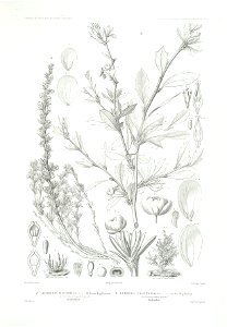n58_w1150