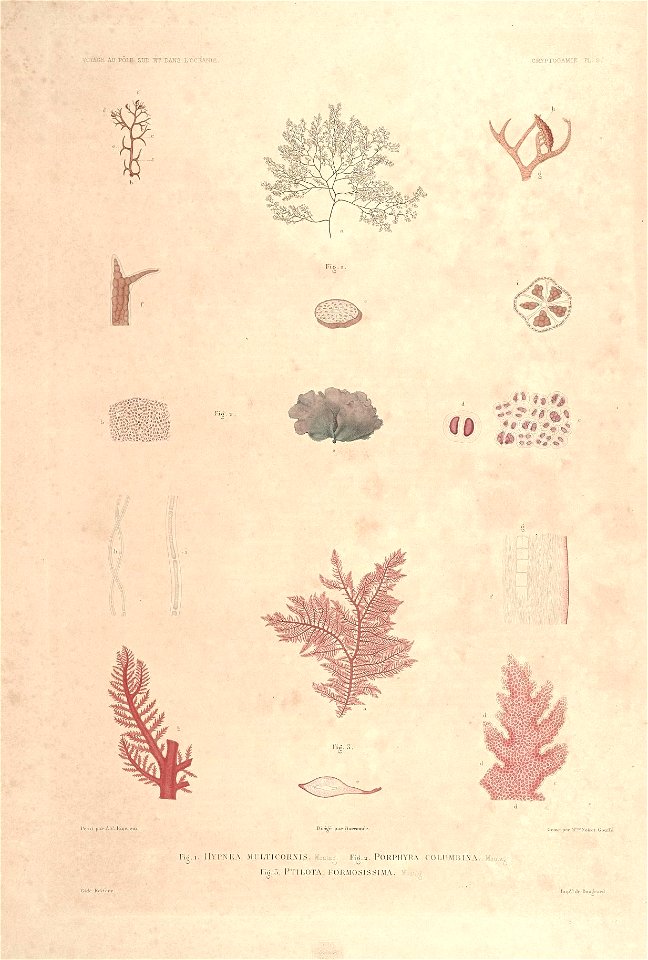 n13_w1150