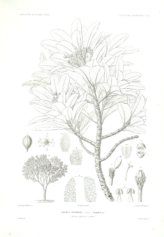 n57_w1150