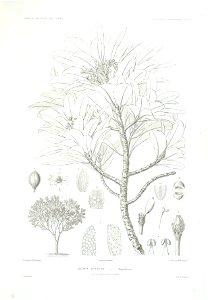 n57_w1150
