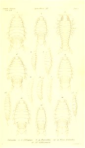 n296_w1150