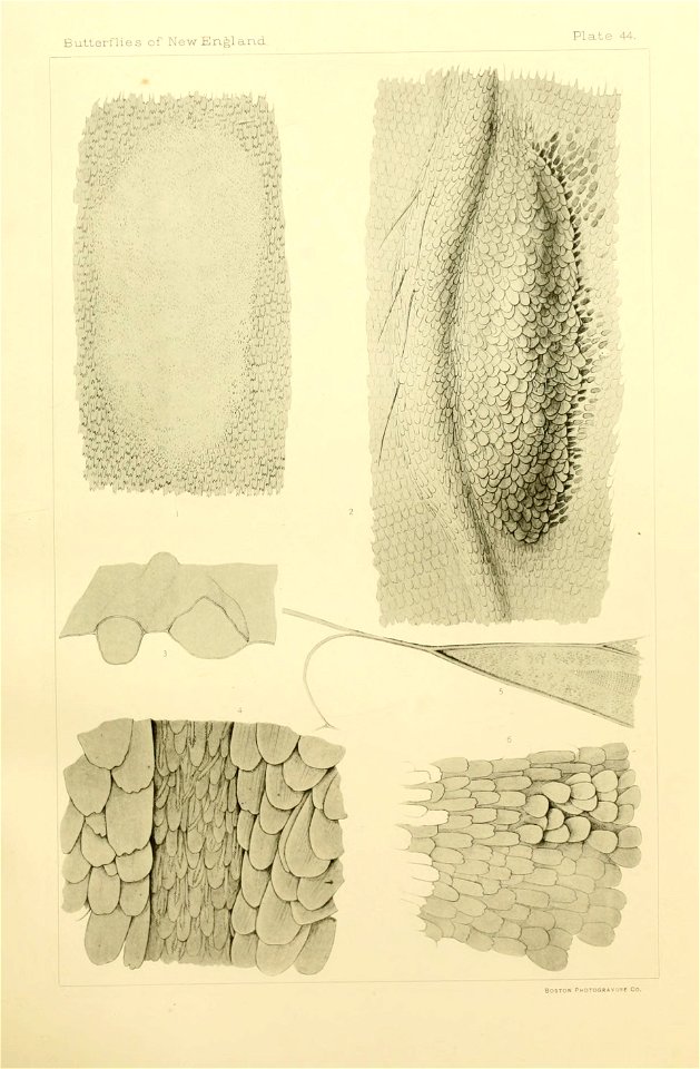 n376_w1150