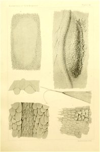 n376_w1150