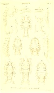 n294_w1150