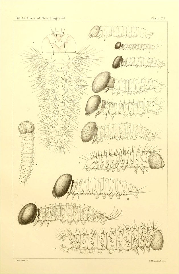 n490_w1150