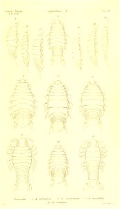 n292_w1150