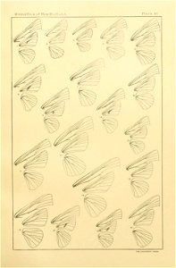 n368_w1150