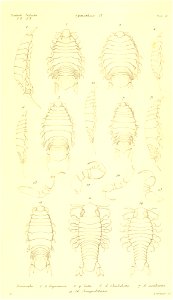n290_w1150
