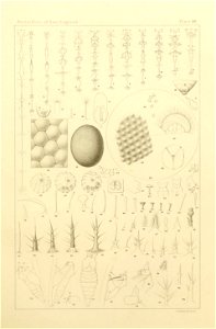 n542_w1150