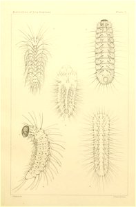 n482_w1150