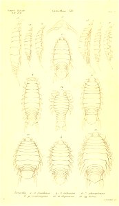 n288_w1150