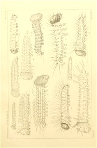n478_w1150
