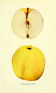 n658_w1150