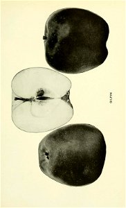 n234_w1150