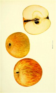 n456_w1150