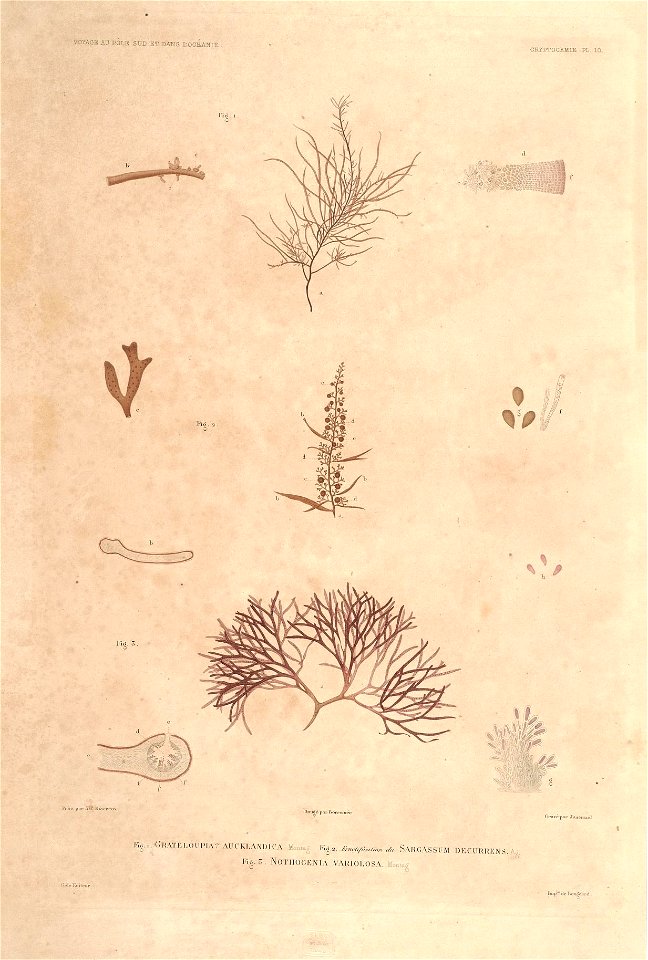n14_w1150
