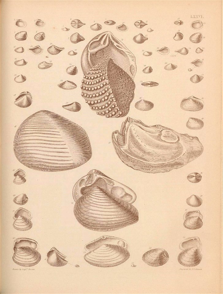 n378_w1150