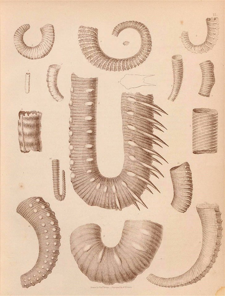 n14_w1150