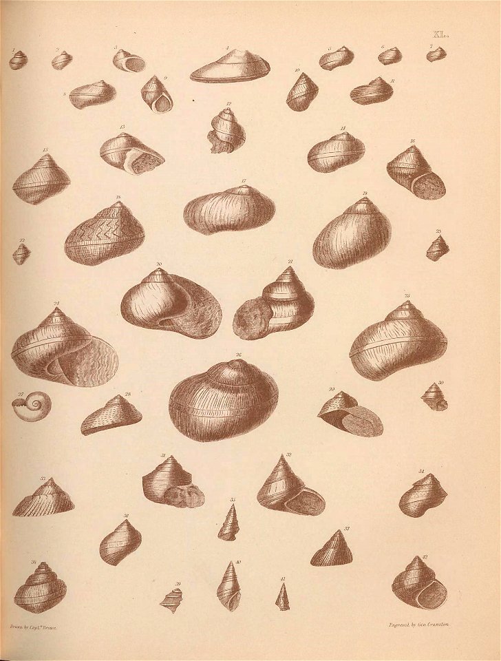 n190_w1150