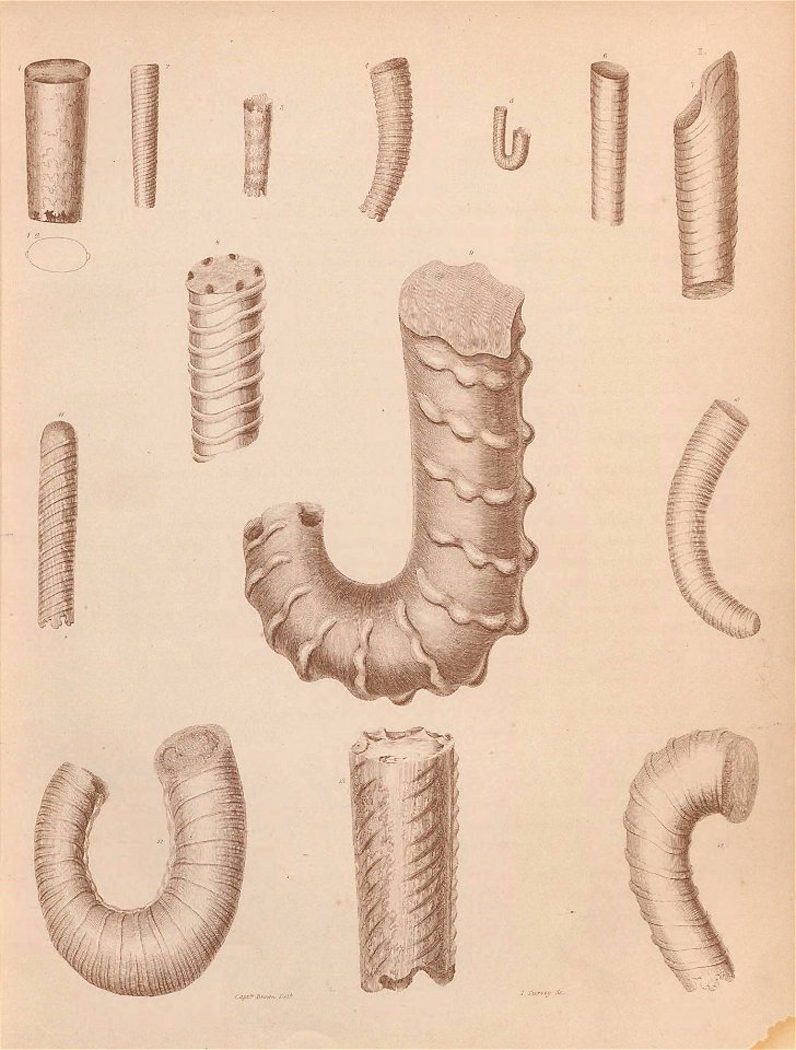 n10_w1150
