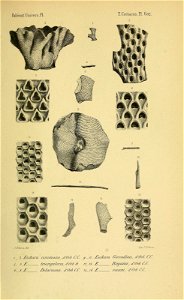 n10_w1150
