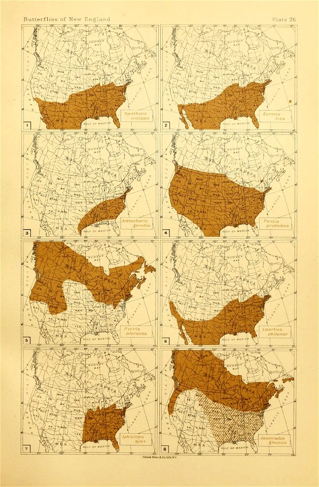n304_w1150