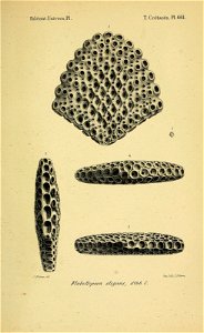 n128_w1150