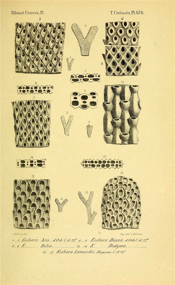 n156_w1150