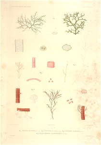 n17_w1150