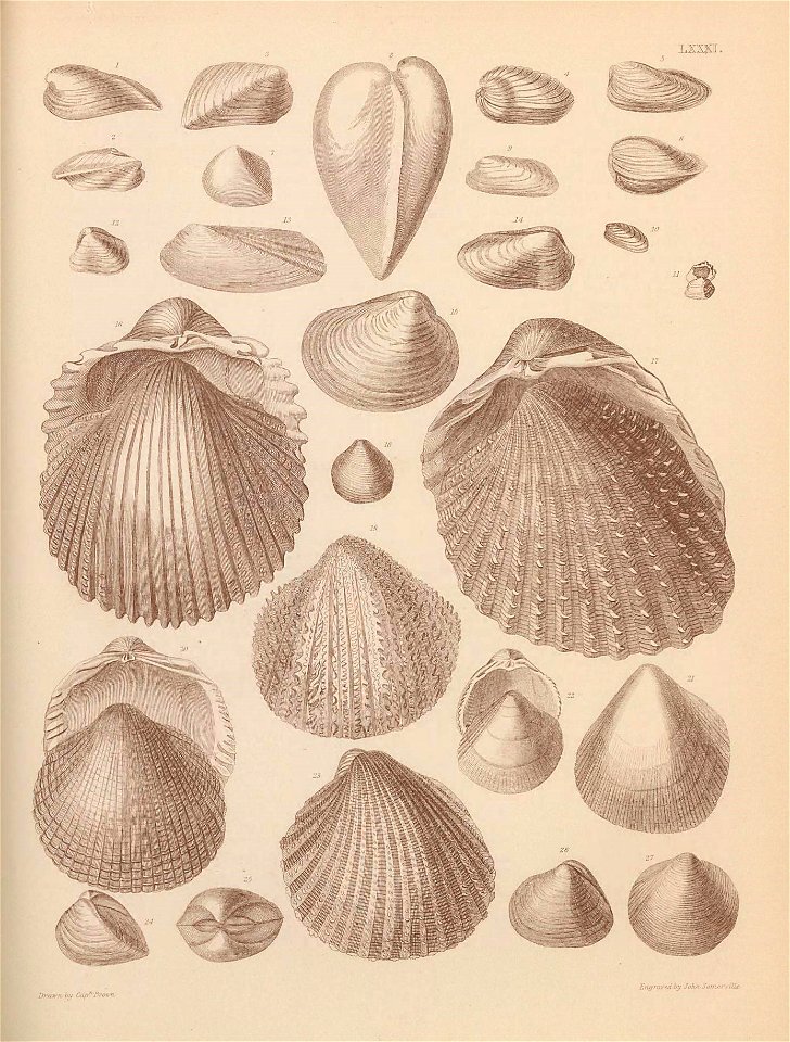 n398_w1150