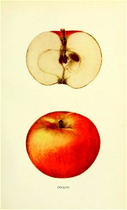 n164_w1150