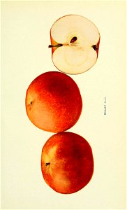 n88_w1150