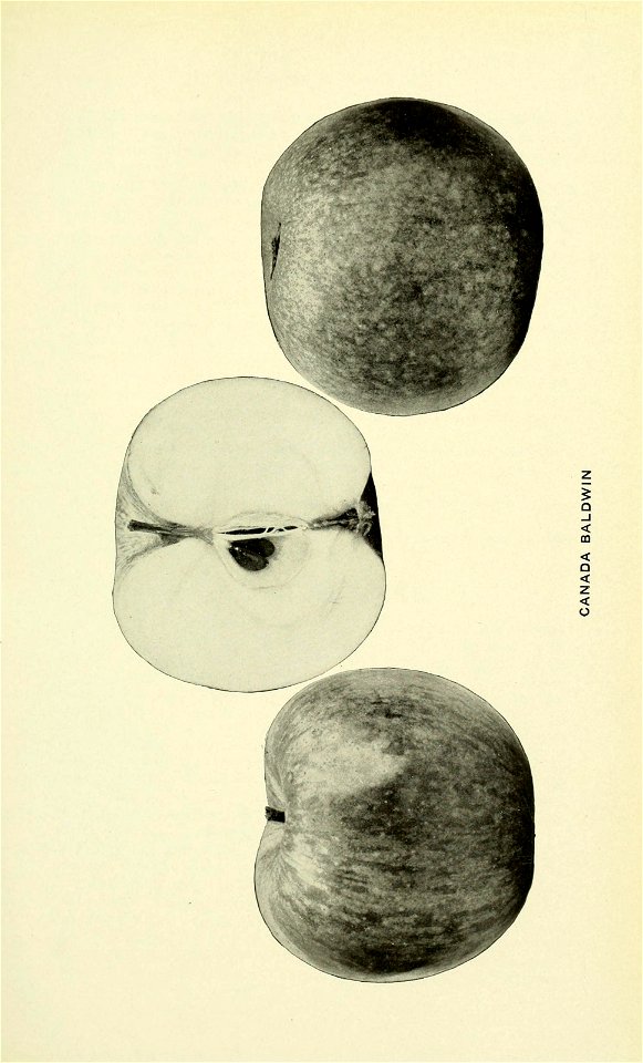 n152_w1150